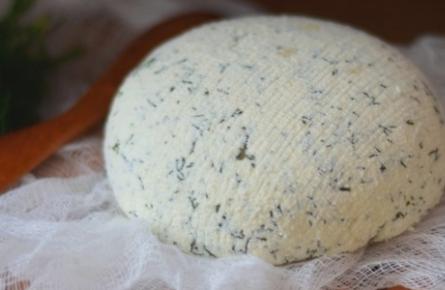 Comment faire cuire le fromage Adyghe à la maison